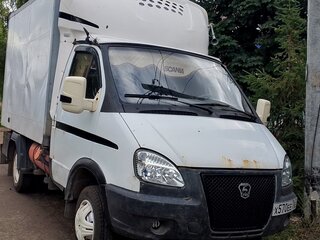 2009 ГАЗ ГАЗель (3302), белый, 520000 рублей, вид 5