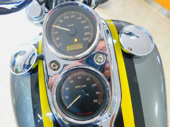 2007 Harley-Davidson Dyna Low Rider, серый, 727000 рублей - вид 4