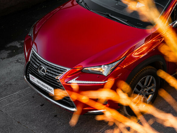 2020 Lexus NX 300 I Рестайлинг, красный - вид 17
