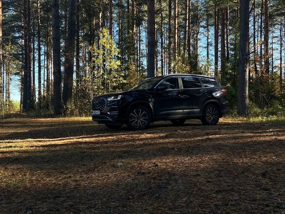 2024 Chery Tiggo 8 Pro Max I Рестайлинг, чёрный, 2790000 рублей - вид 6