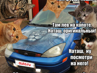 2002 Ford Focus I (North America), синий, 119000 рублей, вид 1