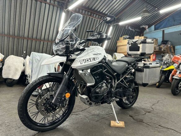 2019 Triumph Tiger 800, белый, 1050000 рублей - вид 1