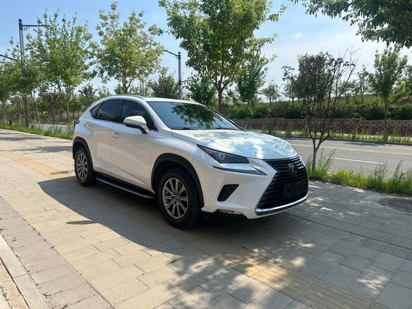 2021 Lexus NX 200 I Рестайлинг, белый, 2540000 рублей