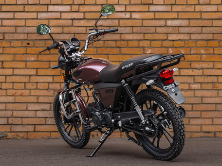 2026 Racer RC50 Alpha Lux M2, пурпурный, 78800 рублей, вид 3