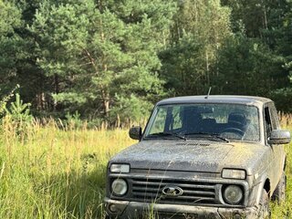 2025 Lada (ВАЗ) Niva Legend I, коричневый, 950000 рублей, вид 4