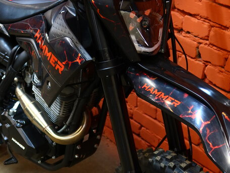 2026 Motoland Enduro 300, чёрный, 120000 рублей, вид 5