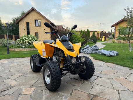 2008 BRP Can-Am DS 250, жёлтый, 329990 рублей, вид 3