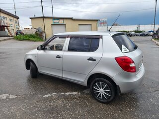 2010 Skoda Fabia II Рестайлинг, серебристый, 389000 рублей, вид 5