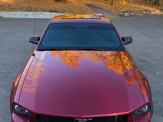 2005 Ford Mustang V, красный, 3000000 рублей, вид 4