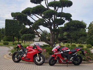 2015 Ducati 1299 Panigale, красный, 1490000 рублей, вид 2
