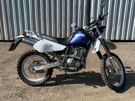 2003 Suzuki Djebel 250, синий, 300000 рублей, вид 3