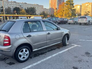 2006 Skoda Fabia I Рестайлинг, серый, 195000 рублей, вид 3