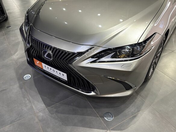 2021 Lexus ES 250 VII, серый, 3869000 рублей - вид 9
