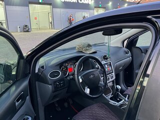 2009 Ford Focus II Рестайлинг, чёрный, 260000 рублей, вид 3