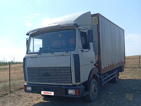 2003 МАЗ 4370, серый, 490000 рублей, вид 1