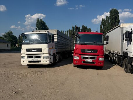 2021 КамАЗ 5490 NEO, красный, 5000000 рублей, вид 1