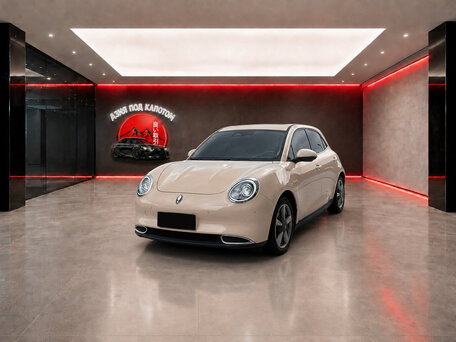2024 Ora Good Cat 46 kWh I, белый, 1570000 рублей, вид 1