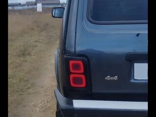 2019 Lada (ВАЗ) 2121 (4x4) I Рестайлинг (2020), серебристый, 800000 рублей, вид 4
