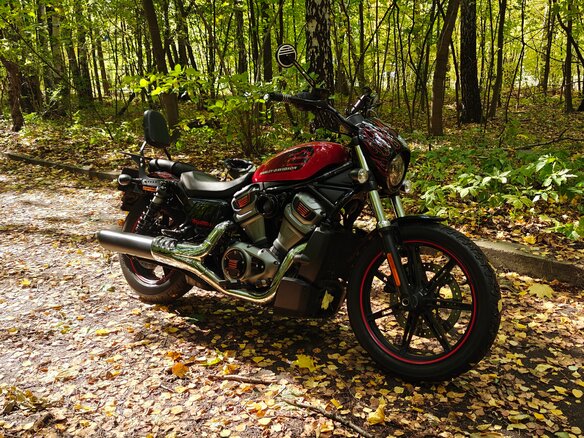 2022 Harley-Davidson Nightster, красный - вид 25