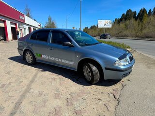 2001 Skoda Octavia I (A4) Рестайлинг, серый, 399000 рублей, вид 3