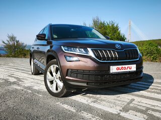 2018 Skoda Kodiaq I, коричневый, 2600000 рублей, вид 3