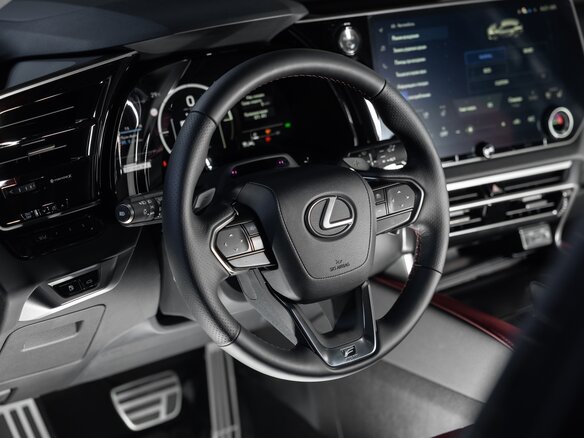 2025 Lexus RX 500h V, чёрный, 18228700 рублей - вид 19