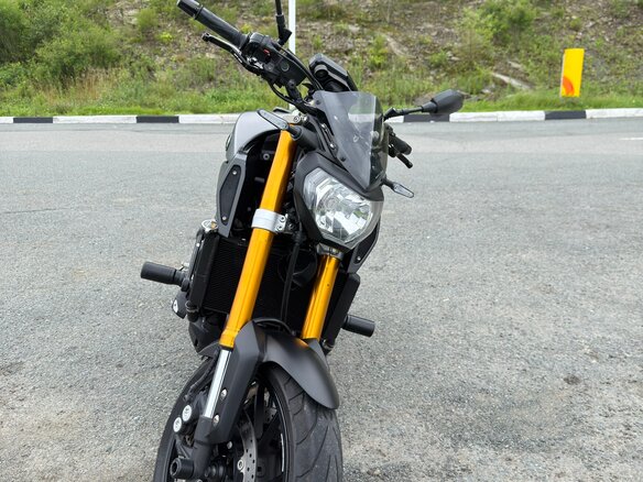 2014 Yamaha MT-09 (FZ-09), серый, 750000 рублей - вид 13