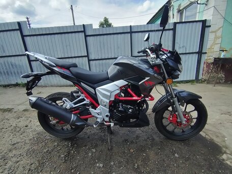 2024 Regulmoto Raptor 250, серый, 125000 рублей, вид 1