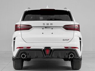 2024 SWM G01F, белый, 1845000 рублей, вид 5
