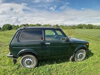 2013 Lada (ВАЗ) 2121 (4x4) I Рестайлинг, зелёный, 400000 рублей, вид 2