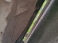 2003 Ford Focus I Рестайлинг, серый, 260000 рублей - вид 9