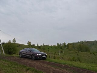 2013 Audi A5 I (8T) Рестайлинг, пурпурный, 1500000 рублей, вид 5