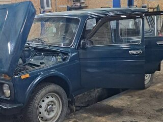 1999 Lada (ВАЗ) 2131 (4x4) I, синий, 290000 рублей, вид 3