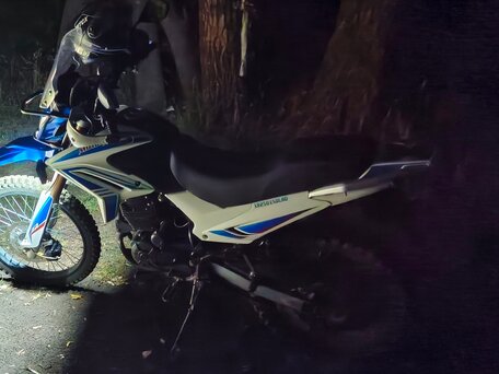 2024 Motoland XR250 Enduro, белый, 115000 рублей, вид 2