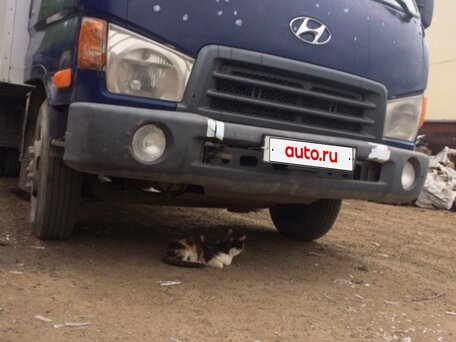2007 Hyundai HD35, синий, 580000 рублей, вид 1