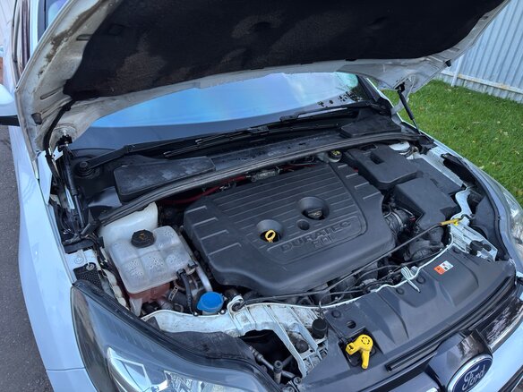 2013 Ford Focus III, белый - вид 16