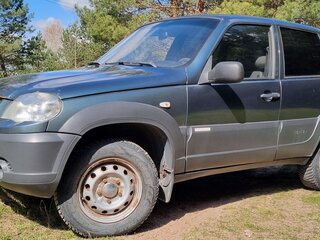 2012 Chevrolet Niva I Рестайлинг, серый, 350000 рублей, вид 2