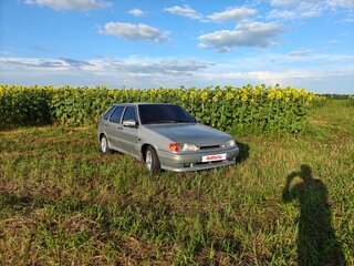 2007 Lada (ВАЗ) 2114, серый, 110000 рублей, вид 4