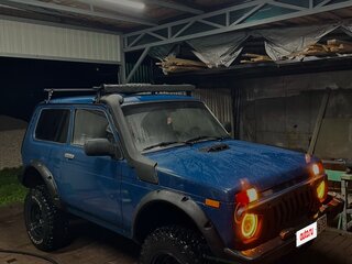 2012 Lada (ВАЗ) 2121 (4x4) I Рестайлинг, синий, 515000 рублей, вид 3