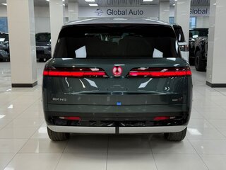 2025 Denza N9 46.9 kWh, зелёный, 8700000 рублей, вид 4