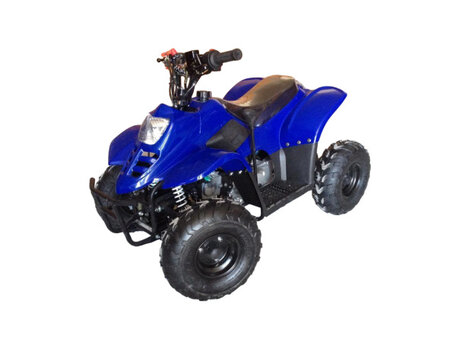 2026 Raptor ATV110, синий, 69600 рублей, вид 1