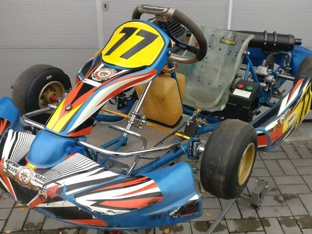 2009 Другие Картинг (другие), синий, 90000 рублей, вид 2