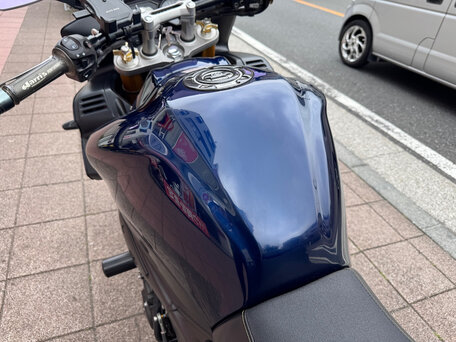 2007 Yamaha FZ1, синий, 419000 рублей, вид 4