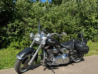 2007 Harley-Davidson Softail Deluxe, серый, 985000 рублей, вид 1