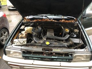 1996 Nissan Terrano II, зелёный, 330000 рублей, вид 5
