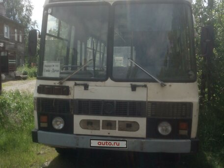 1993 ПАЗ 3205, белый, 66000 рублей, вид 2