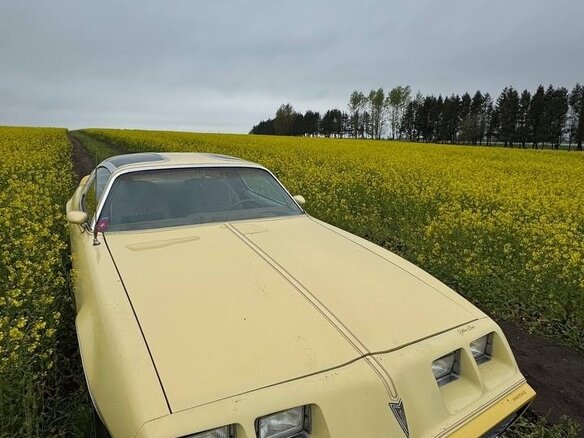 1980 Pontiac Firebird II, жёлтый - вид 10