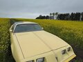 1980 Pontiac Firebird II, жёлтый - вид 10