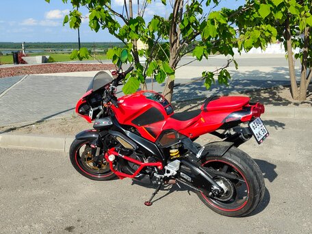 2006 Aprilia Tuono 1000, красный, 380000 рублей, вид 2