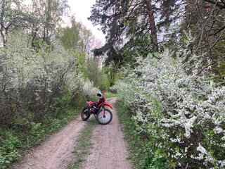 2023 FX moto YX300, красный, 155000 рублей, вид 3
